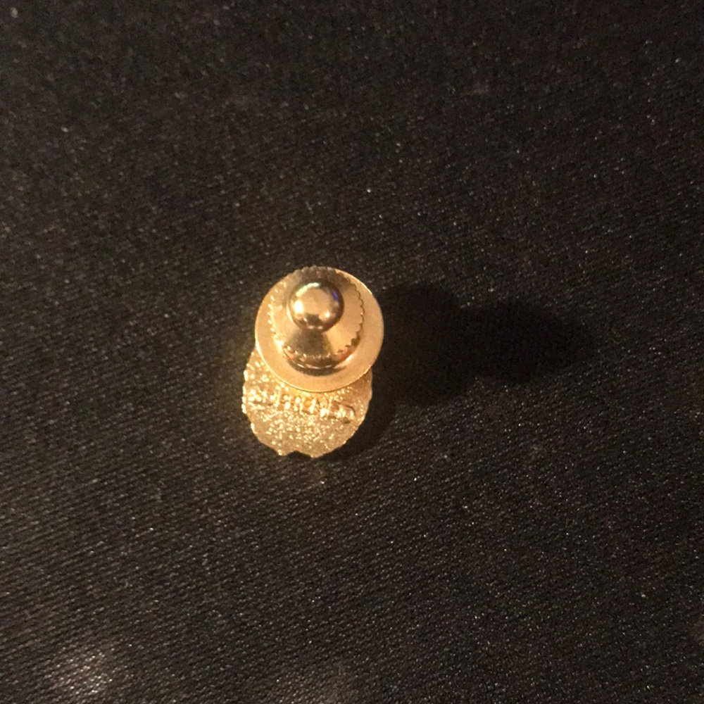 Supreme Ladybug Pin - Picture 4 of 4